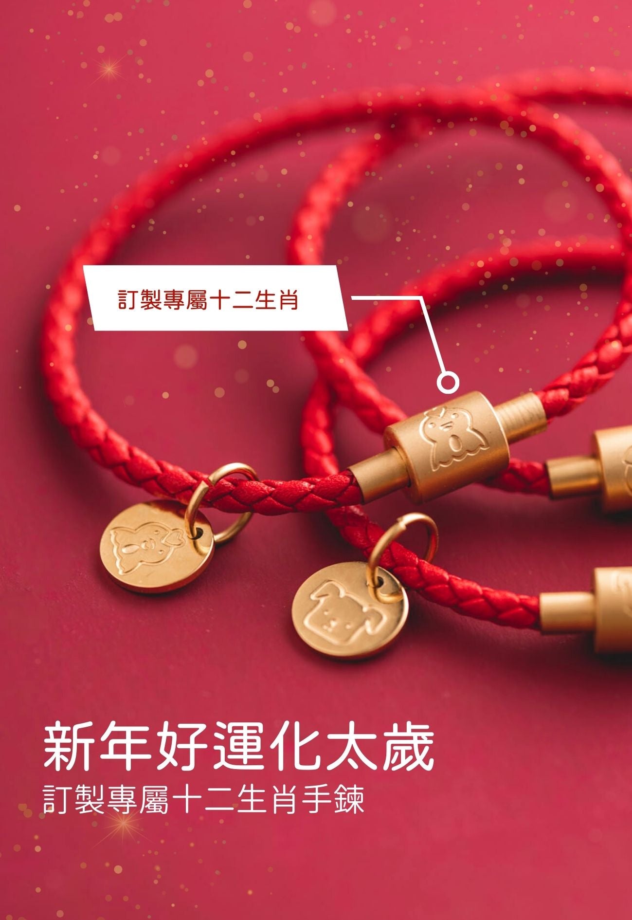 2023 化太歲十二生肖皮繩手鍊 | 本命年紅繩 | 可刻字客製化新年禮物